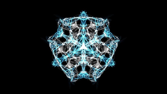 养了近十年的草龟要不要放生?