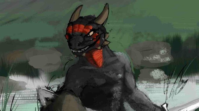 有没有用过GOOVIS的?